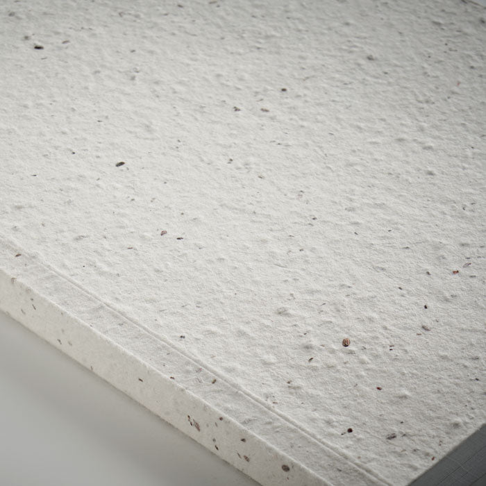 SEED BOOK — Blanc — item detail picture