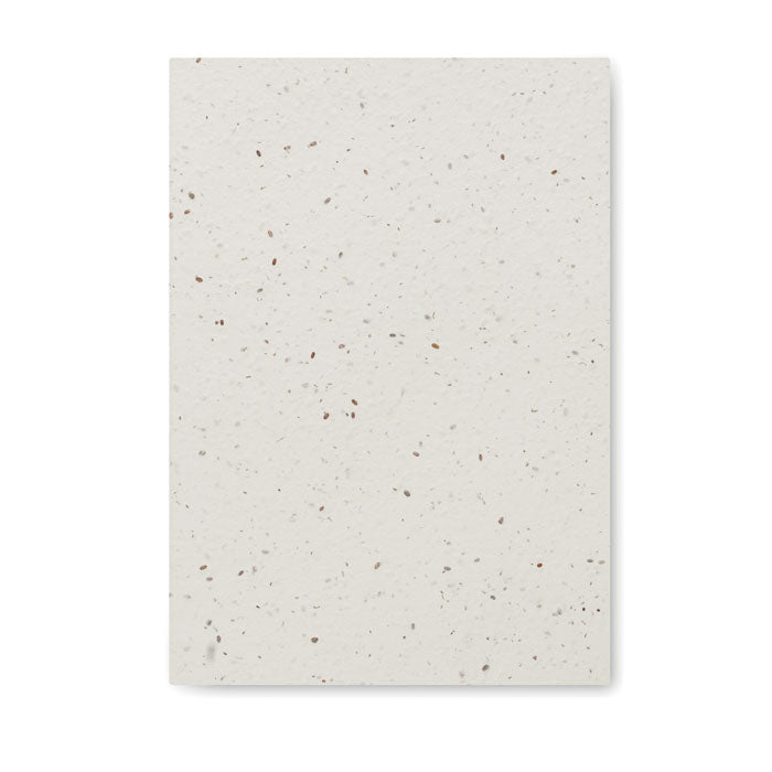 SEED BOOK — Blanc — profil