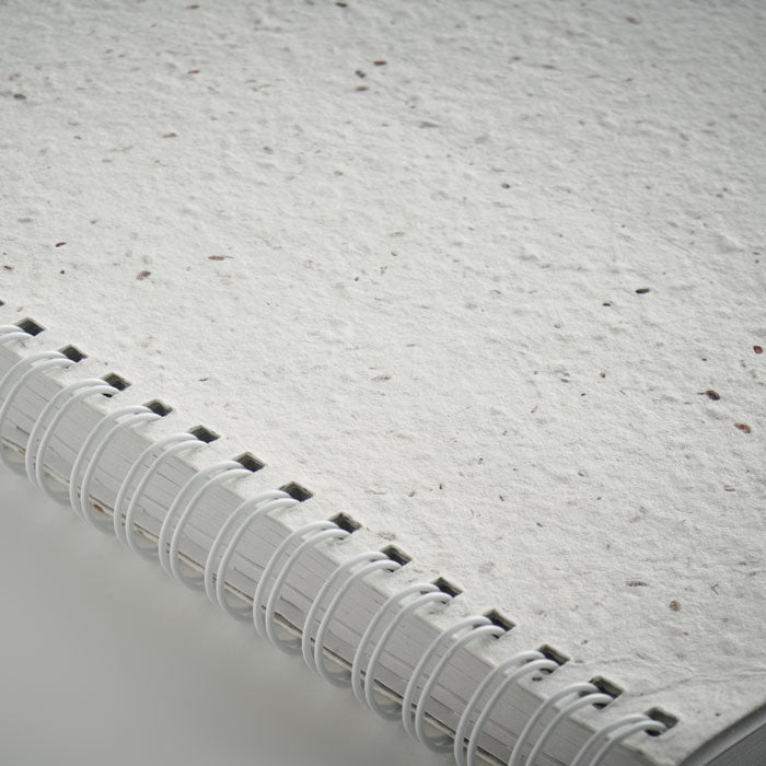 SEED RING — Blanc — item detail picture