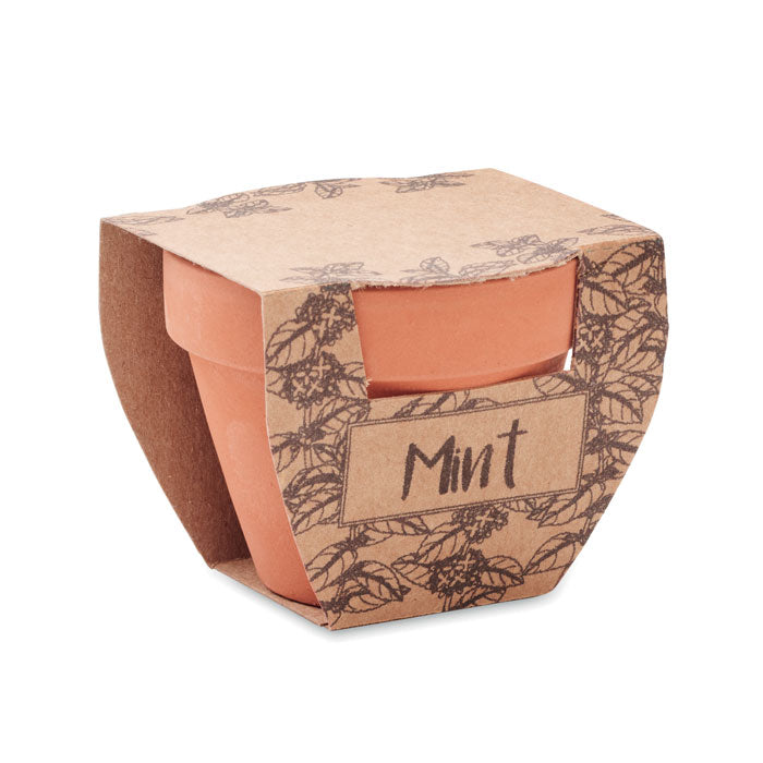 MINT POT — Bois — ouvert