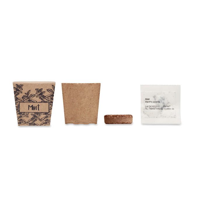 MINT KIT — Beige — dos