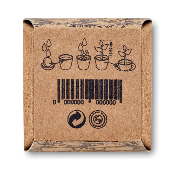 MINT KIT — Beige — détail 1