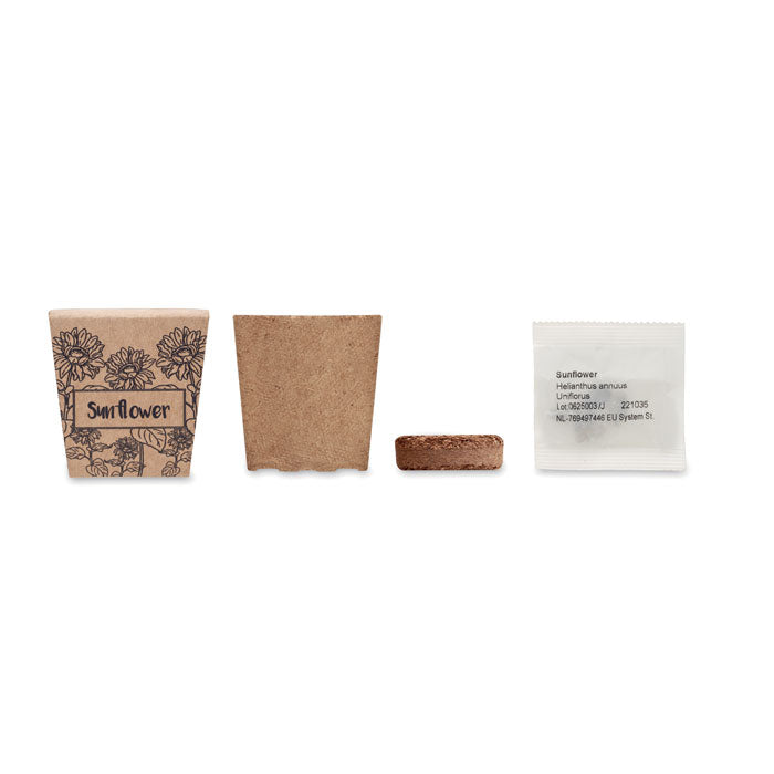 SUNFLOWER KIT — Beige — dos