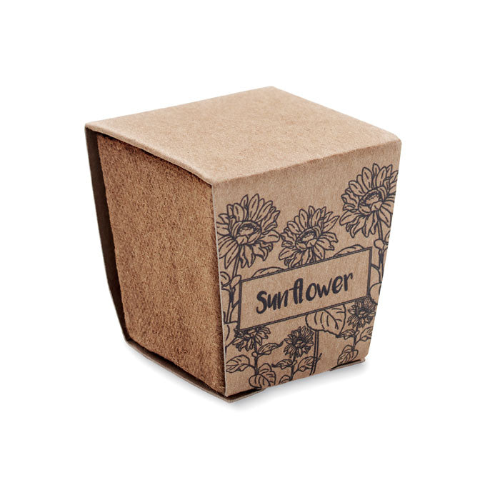 SUNFLOWER KIT — Beige — détail 3