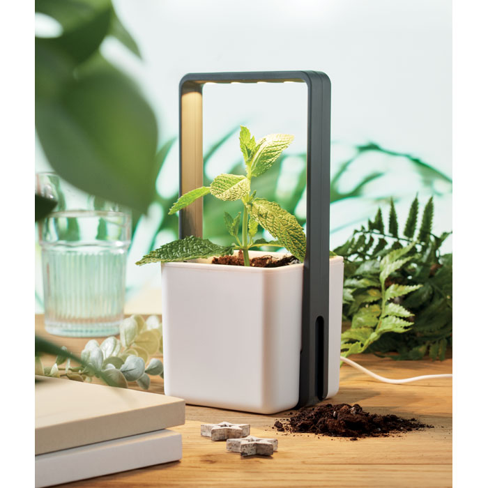 LUSHLET — Blanc — item ambiant picture