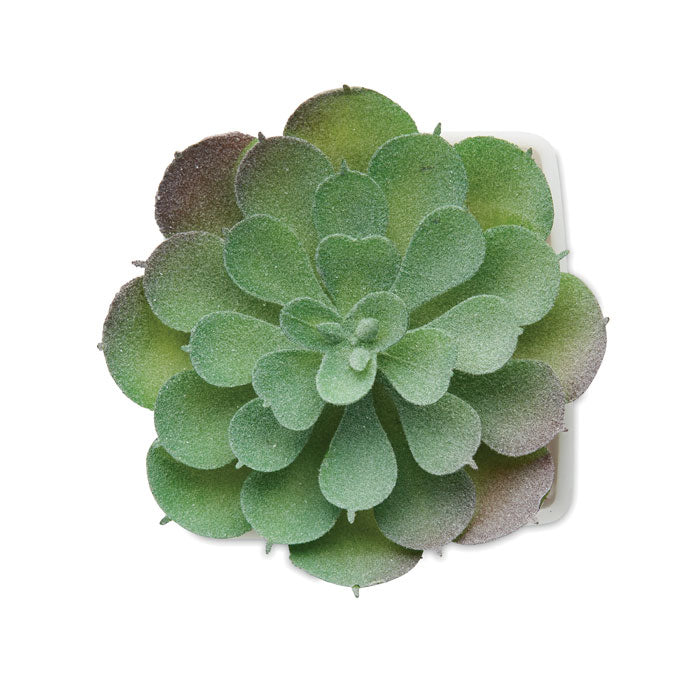 ARTIECHE — Blanc — profil