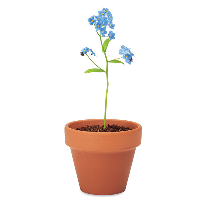 FORGET ME NOT — Bois — item detail picture