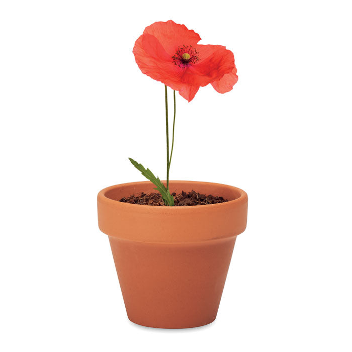 RED POPPY — Bois — item detail picture