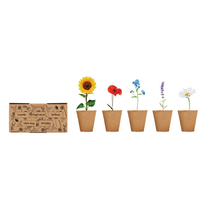 FLOWERS — Beige — ouvert