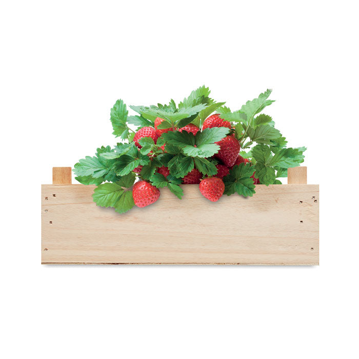STRAWBERRY — Bois — dessus
