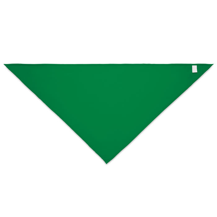 BANDANA BANDIDO — Vert — dos