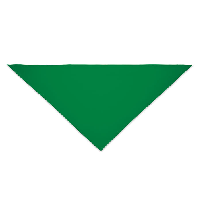 BANDANA BANDIDO — Vert — profil