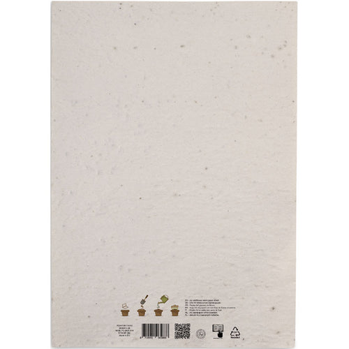 ASIDI — Blanc — dos