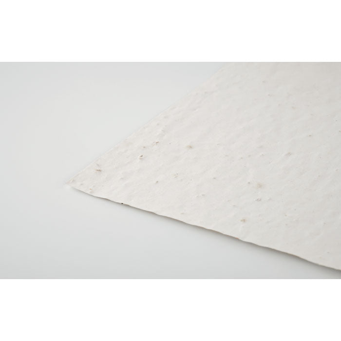ASIDI — Blanc — dessus