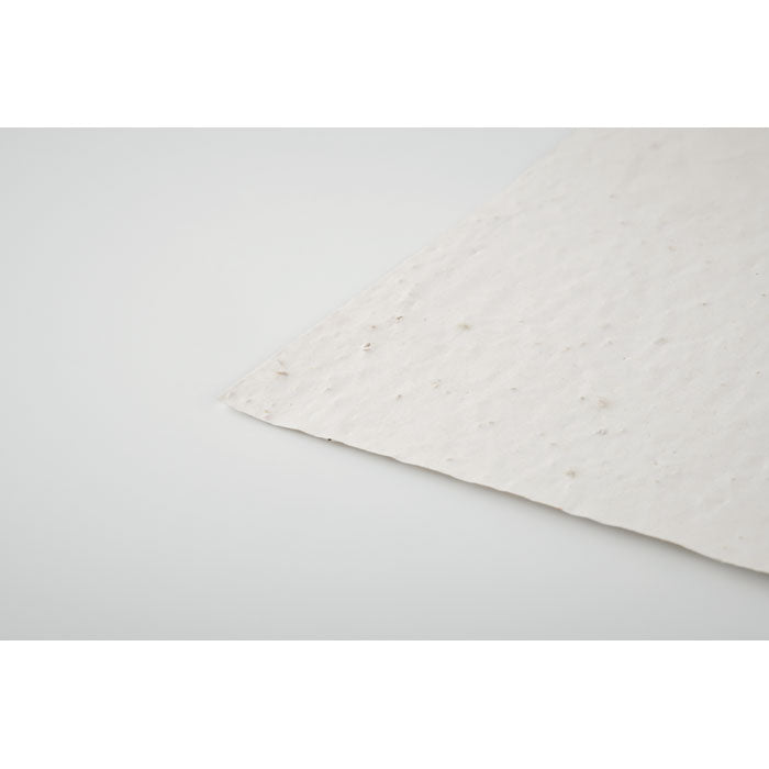 ASIDO — Blanc — item detail picture