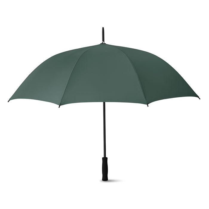 SWANSEA — Vert