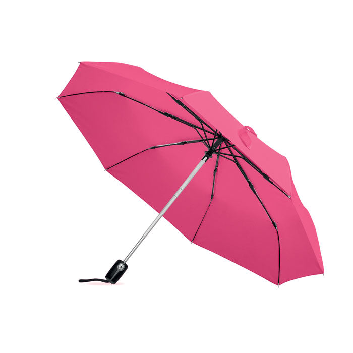 GENTLEMEN — Fuchsia