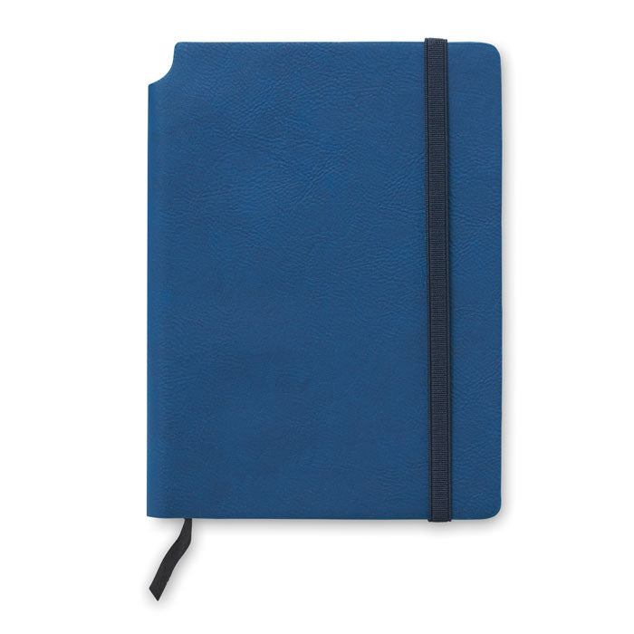 SOFTNOTE — Bleu