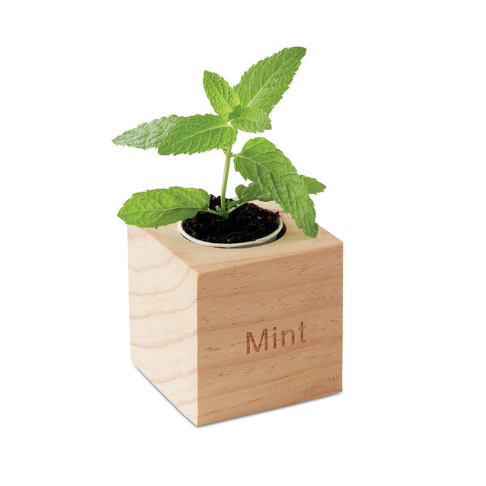 MENTA — Bois — profil